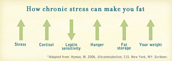 How to Lose Weight Well: Diet, Exercise, Hormones & Stress