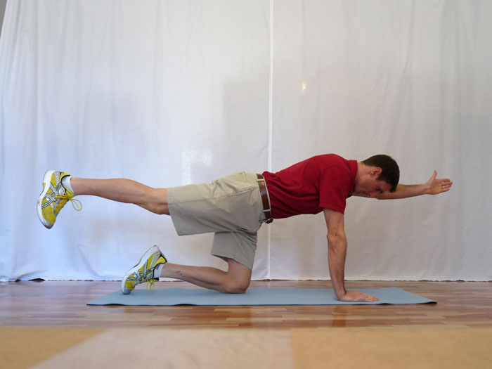 Core Stability: Performing the Bird Dog Exercise - Inspire Fitness for ...